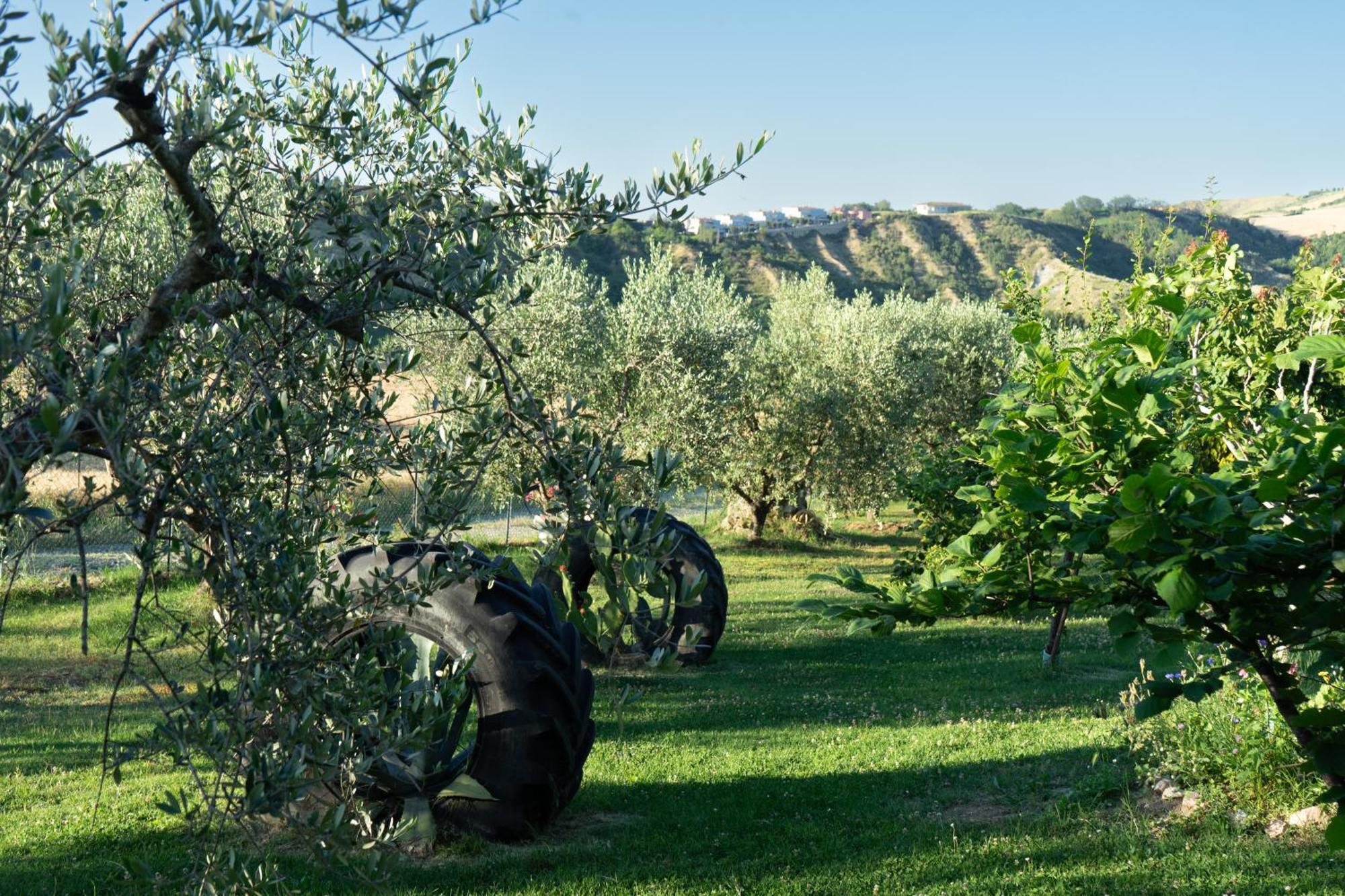 Relaxing Farmhouse San Marino Exterior photo